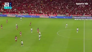 Goool do Palmeiras - Flaco López