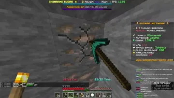ses?