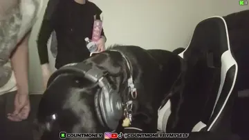 DRACO TOOK OVER MY STREAM!