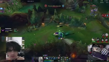 chao n (se corta stream)