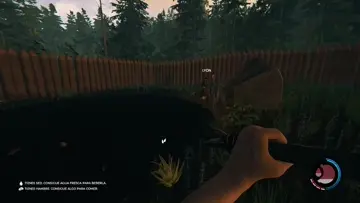 xddd