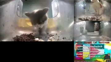 cuteness overload