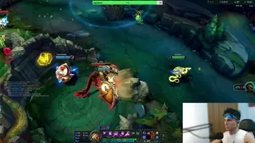Gnar ql xd