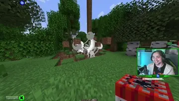 Nooo la vacaaa