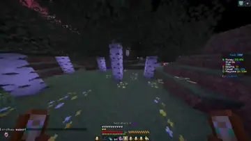 #VeinMC