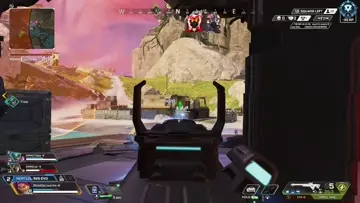 NICE BUG