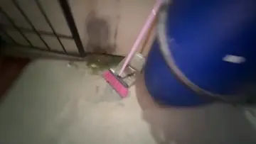 mi telefono