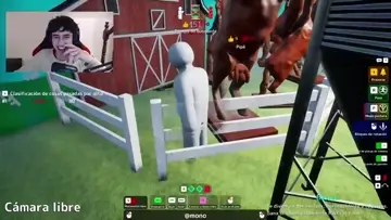 verga 3