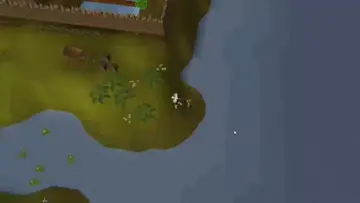 HowUPlayDiz with a pet jeeze