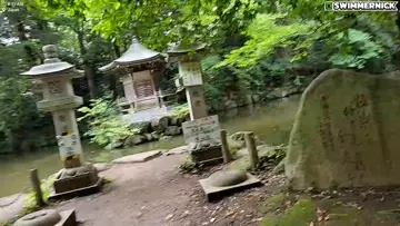 Mystical find