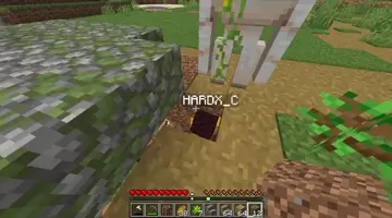 XDDDD
