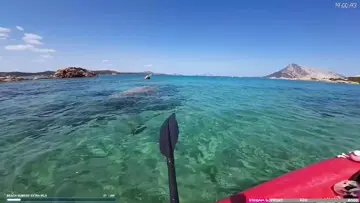 Kayak outing with Igor