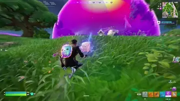 crazy fights