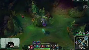 mini insec