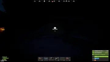 bug
