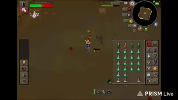 NMZ grinding