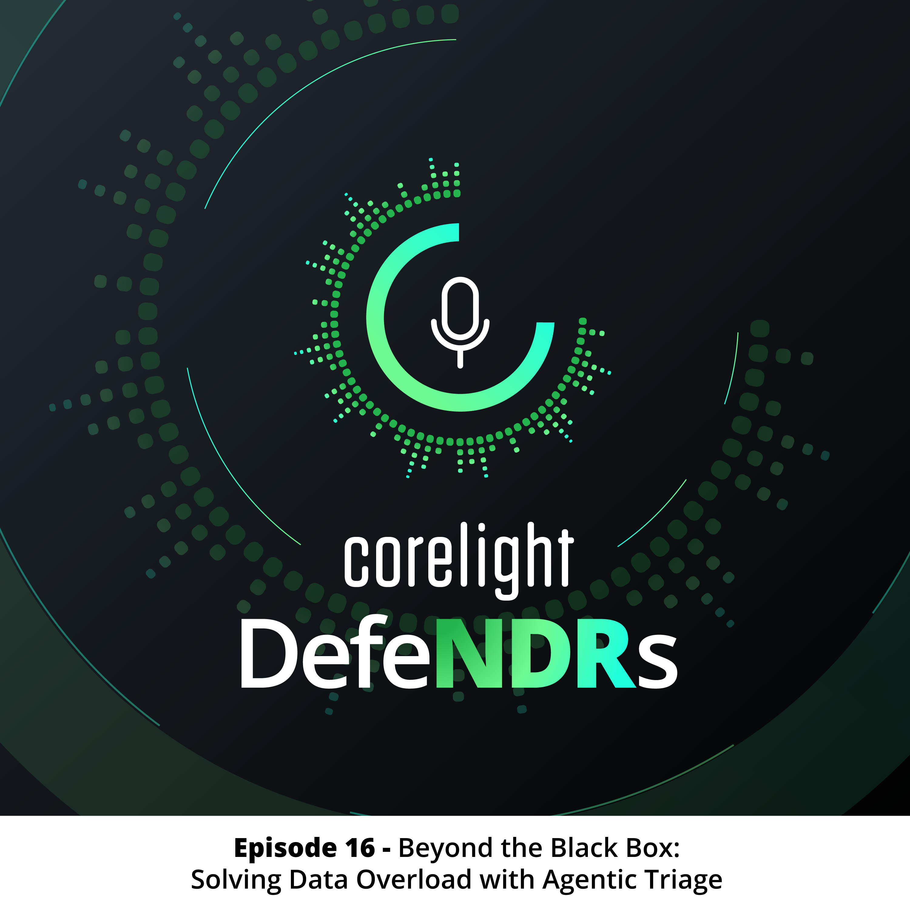 Episode 16 - Beyond the Black Box: Solving Data Overload with Agentic Triage