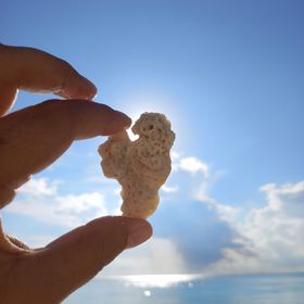 ElisaShells