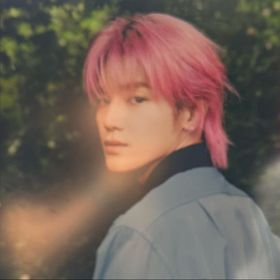 se ｡◕ ᴗ ◕｡