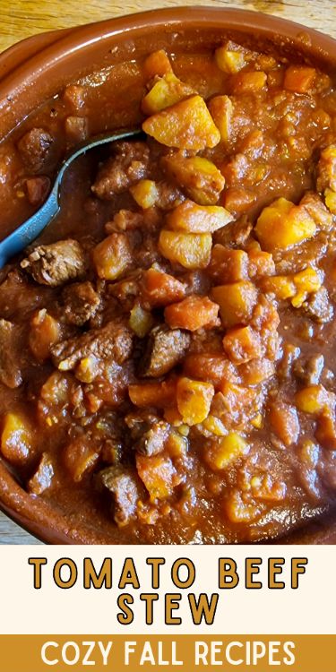 This cozy fall tomato stew is so delicious and you won't bel