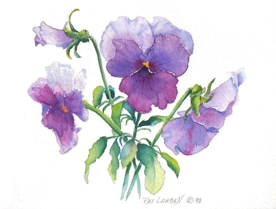 Blue Pansy by Pat Yager