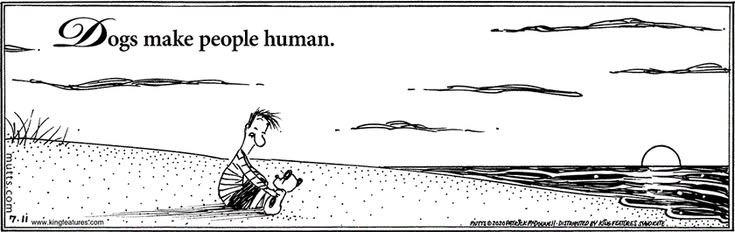 July 11 2020, Daily Comic Strip – MUTTS