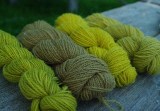 Dyeing with plants / Estonian natural yarn dyeing