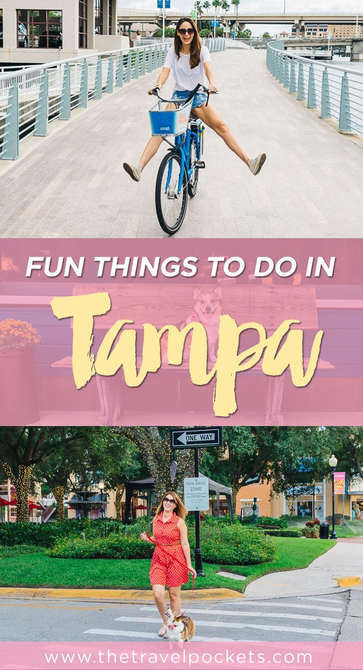 Check out all the fun things to do in Tampa, Florida!