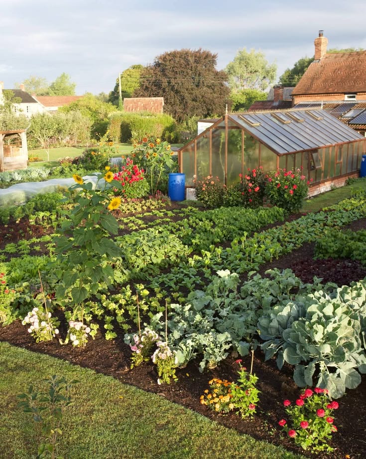 Explore a lush backyard filled with vibrant plants and bloom