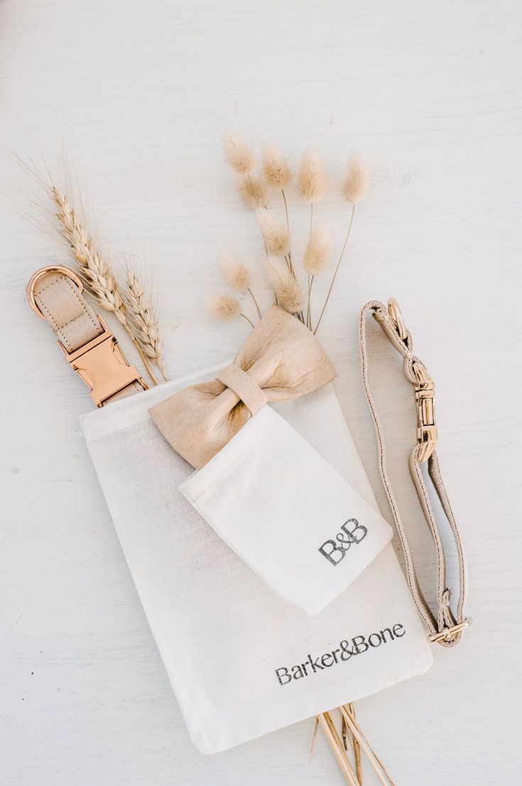 Cream & Rose Gold Dog Collars --Barker & Bone.