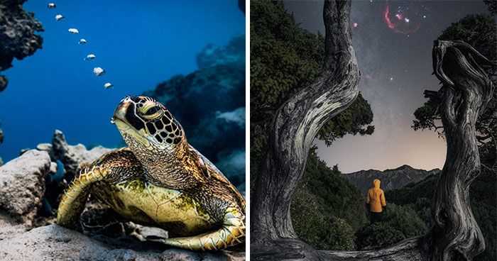 20 Exceptional Nature Photographs Crowned Winners At Tokyo I