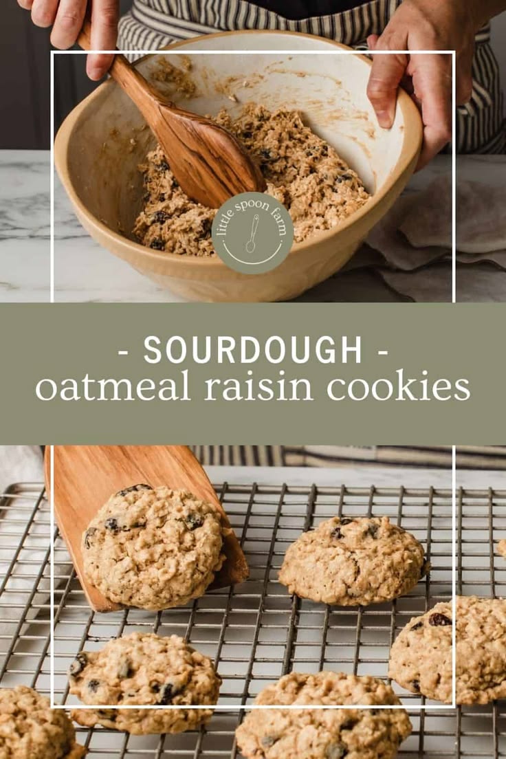 Sourdough oatmeal cookies are soft, chewy, and loaded with j