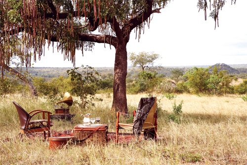 South African Safari Lodges www.aerojetservices.com