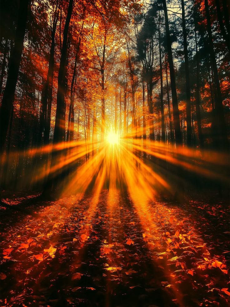 Join us on Telegram to download wallpapers with the best qua
