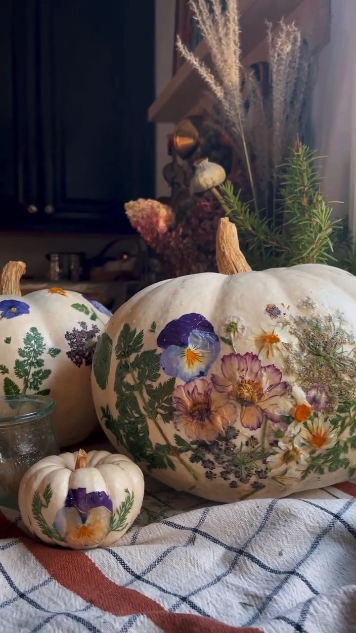 Summer abundance meets autumn harvest with these compostable