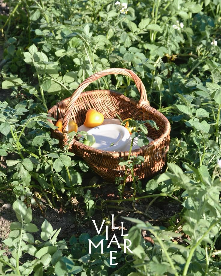 Still summer at VILLAMER🌞🧺 While our summer ceramics are enj