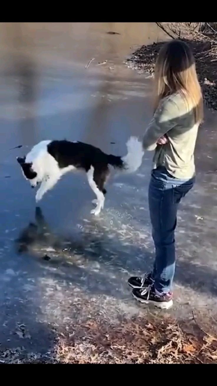 Lo mas bonito que tendras hoy #animales #funny #divertido #f