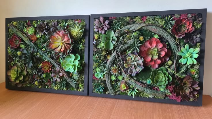 A triptych faux succulent arrangement finished today for a U