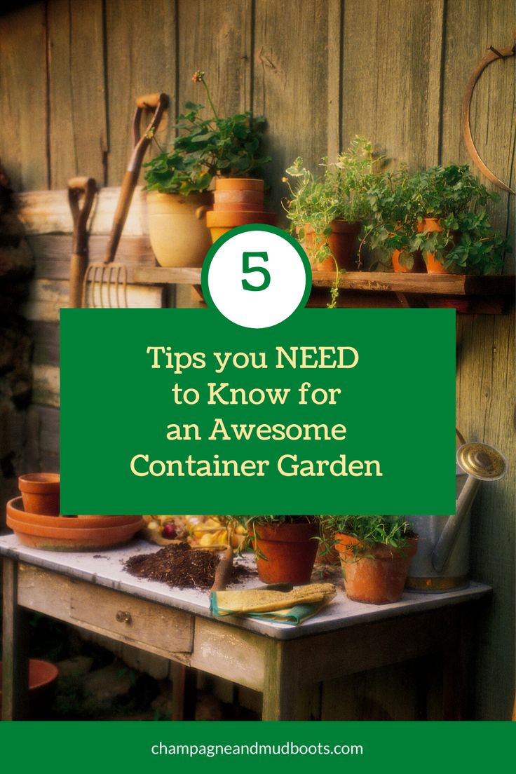 5 Tips You Need to Know if You Want an Awesome Container Gar