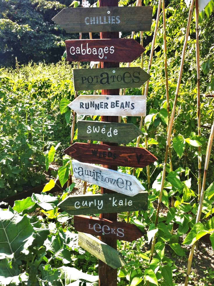 Garden sign, created for visitors to our veggie patch. Or is
