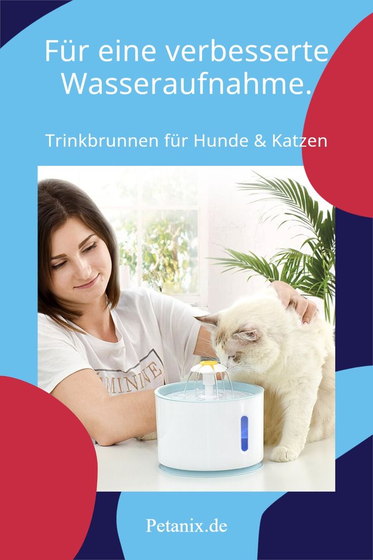VOLLAUTOMATISCHE TRINKQUELLE Der Petanix. Mach deiner Fellna