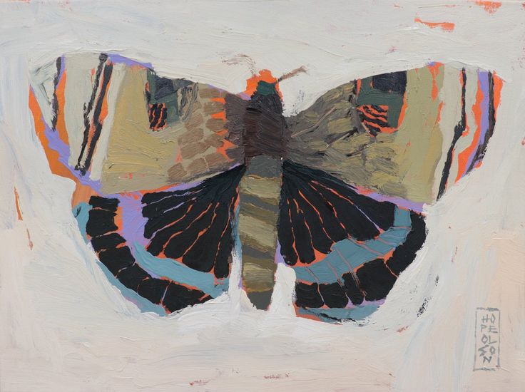 Bugs + Butterflies — Hope Olson