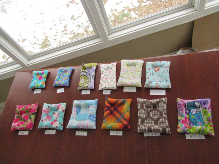 Pet Bed, Perch, Pillow, Guinea Pig, Hedgehog, Small animal, 