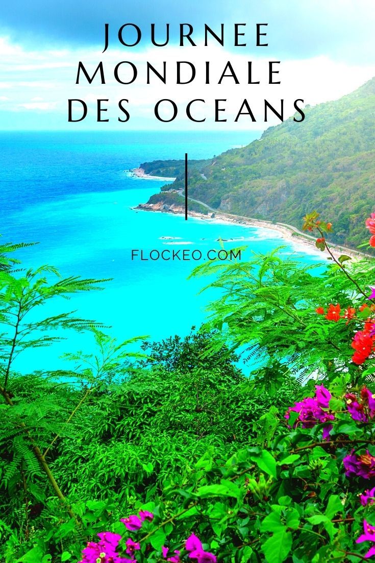💧 Protéger les océans est une façon d'exprimer notre bienvei