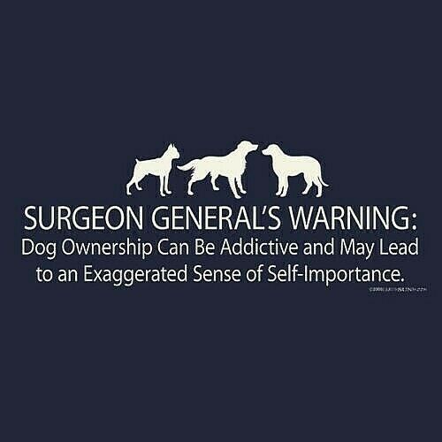 Dog T-shirt S M L XL 2XL Ownership Surgeon General Unisex Bl