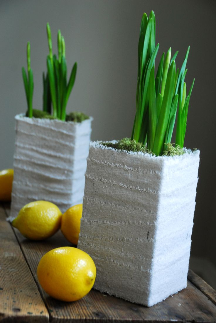 Milk Carton Planter - From the Home Decor Discovery Communit