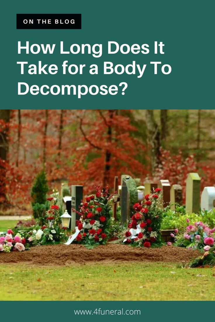 When a person dies, their organs lose all function, and even