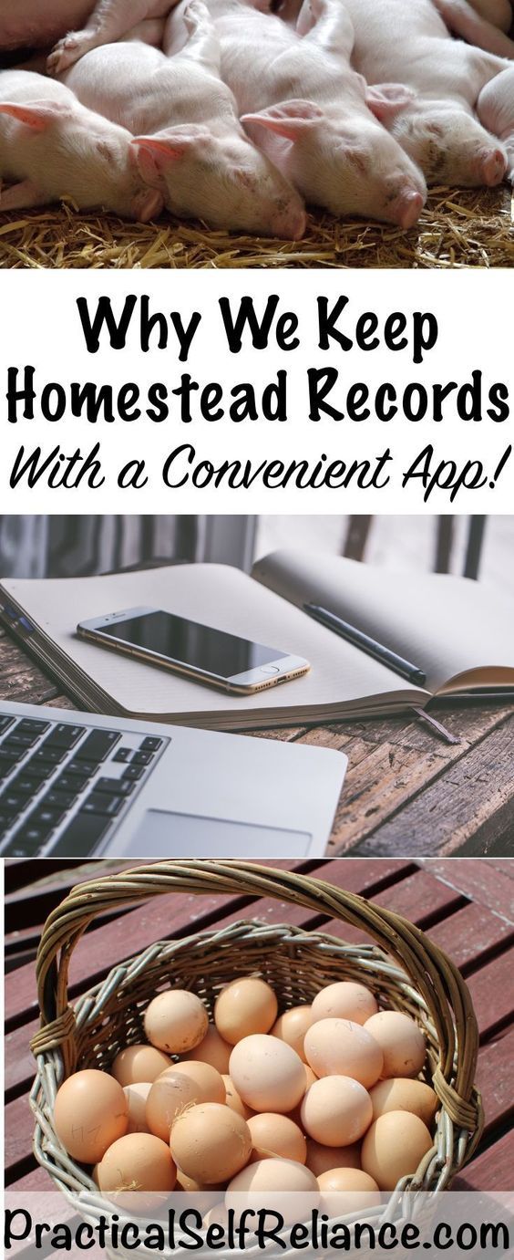 Why We Keep Homestead Records — Practical Self Reliance