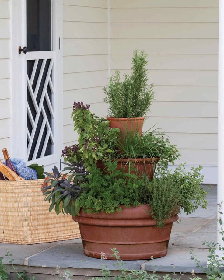 Tower of Herbs