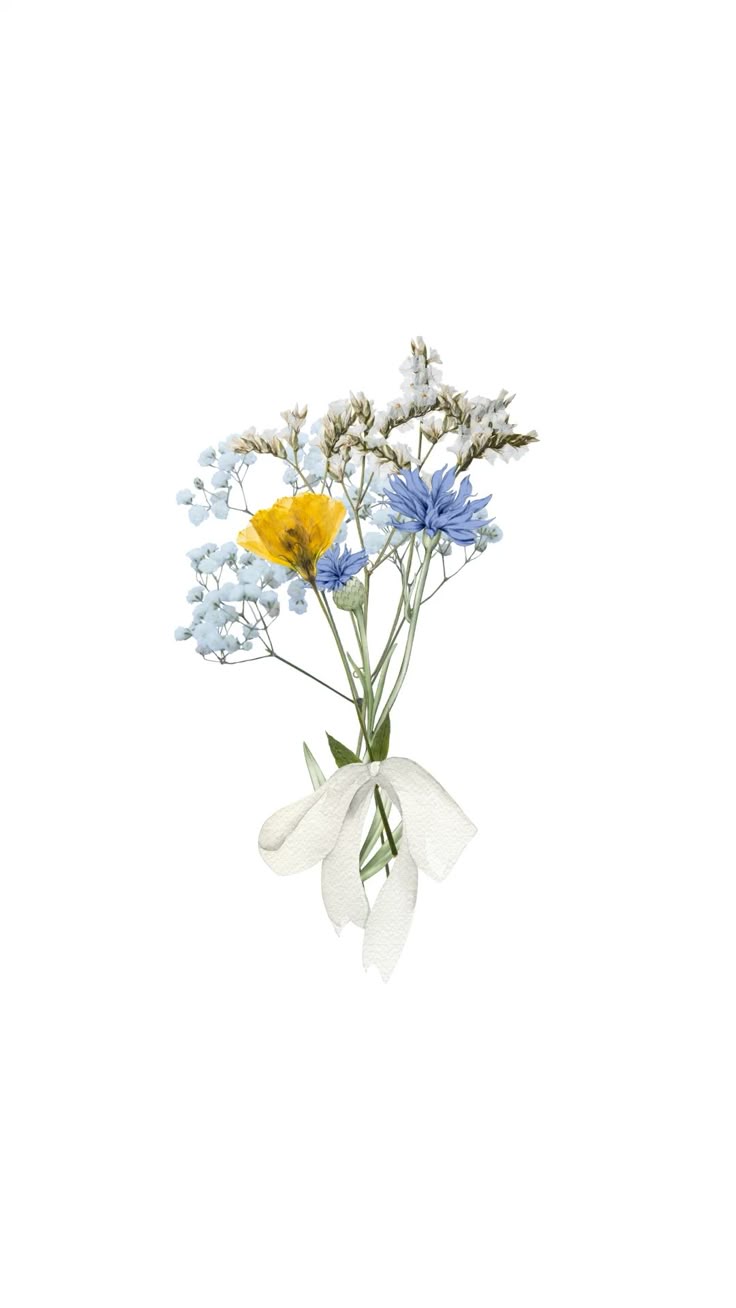 #coquette #flowers #bow #wallpaper #prettylittlething #blue 